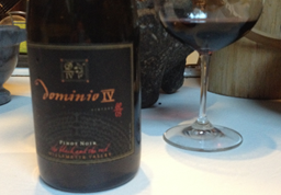 2005 Dominio IV The Black and The Red pinot noir