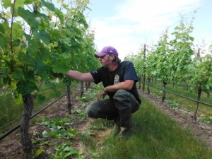 Pop up Tasting Room   Paetra Wines