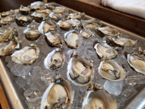 Oysters